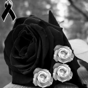 FB_IMG_1449586075920